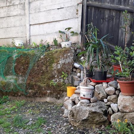 Casa Adrian Camere Centru Vechi Braşov Esterno foto