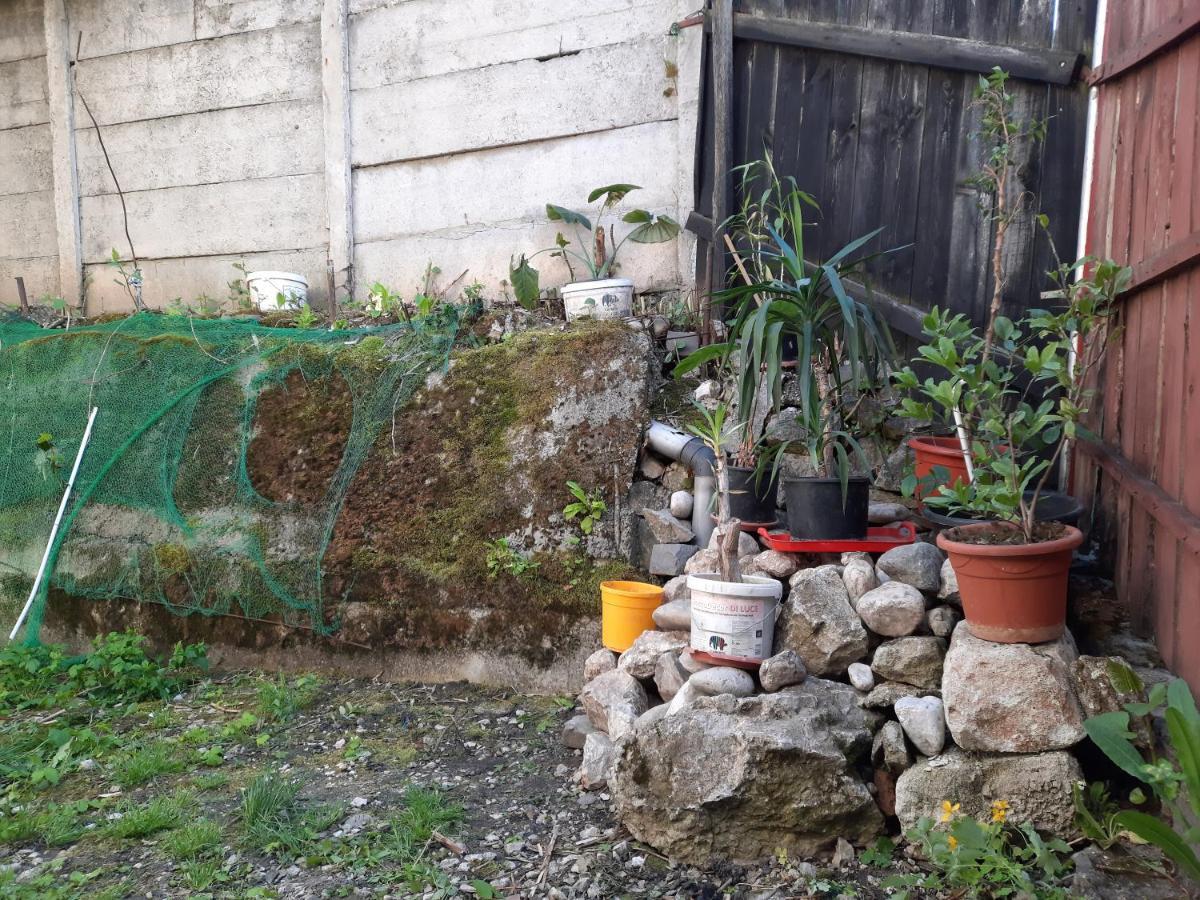 Casa Adrian Camere Centru Vechi Braşov Esterno foto