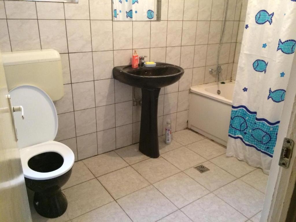 Casa Adrian Camere Centru Vechi Braşov Esterno foto