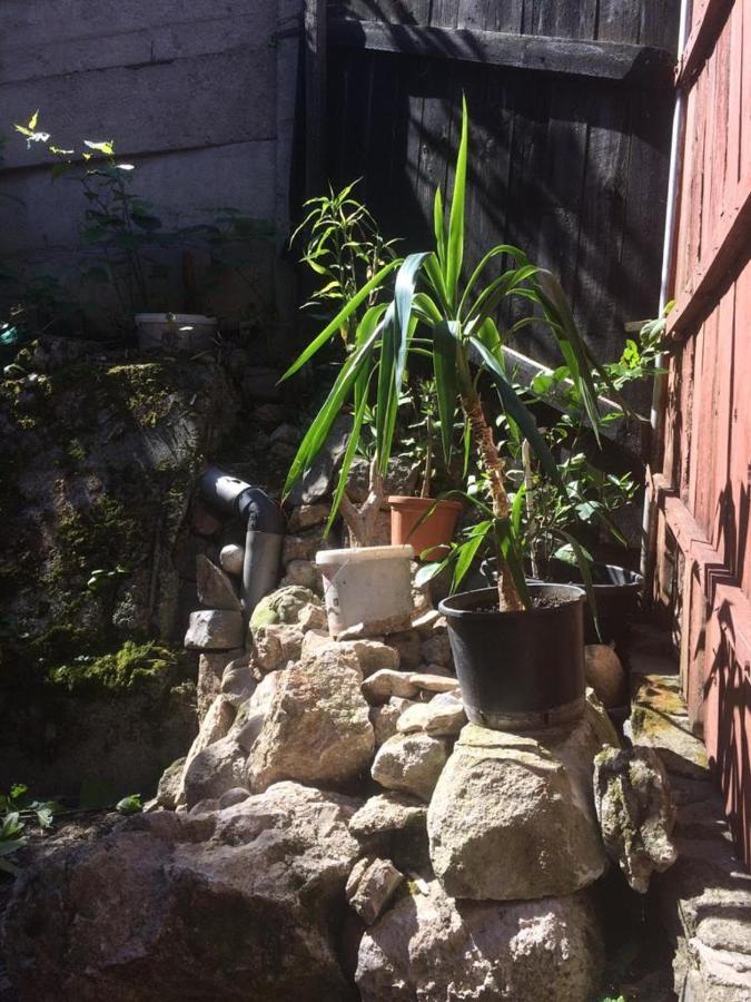 Casa Adrian Camere Centru Vechi Braşov Esterno foto